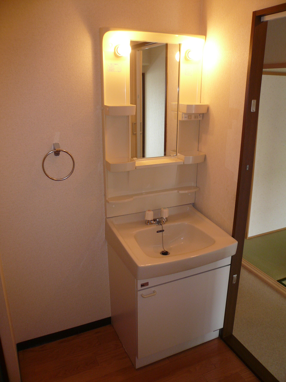 Washroom. Reference photograph, Same building another room