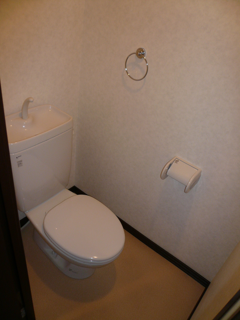 Toilet. Reference photograph, Same building another room