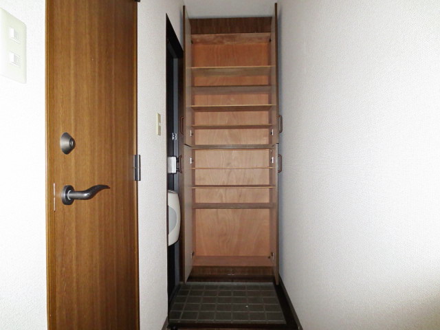 Entrance. Shoe box