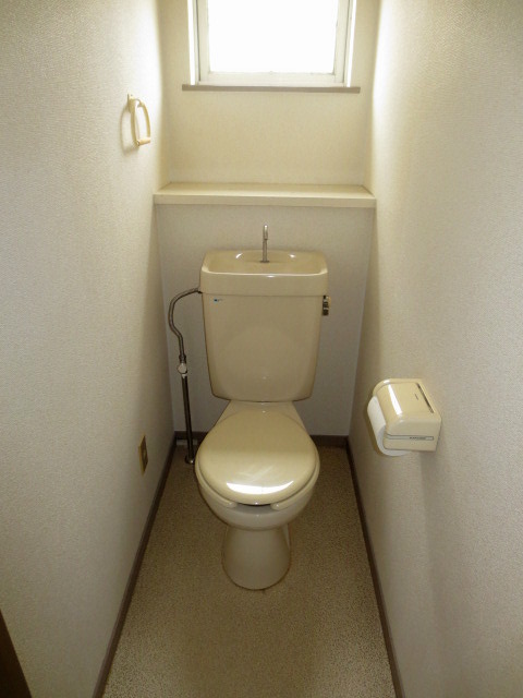 Toilet. First floor toilet