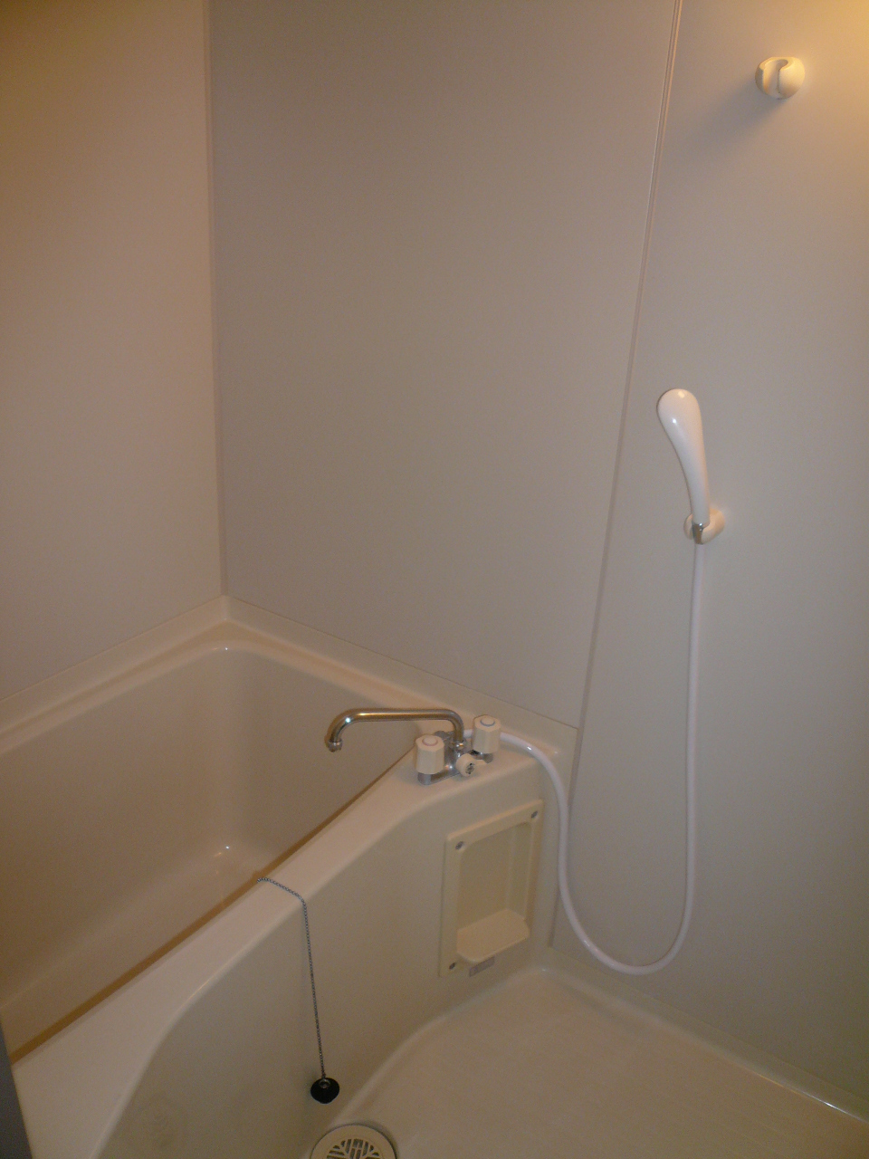 Bath. Reference photograph