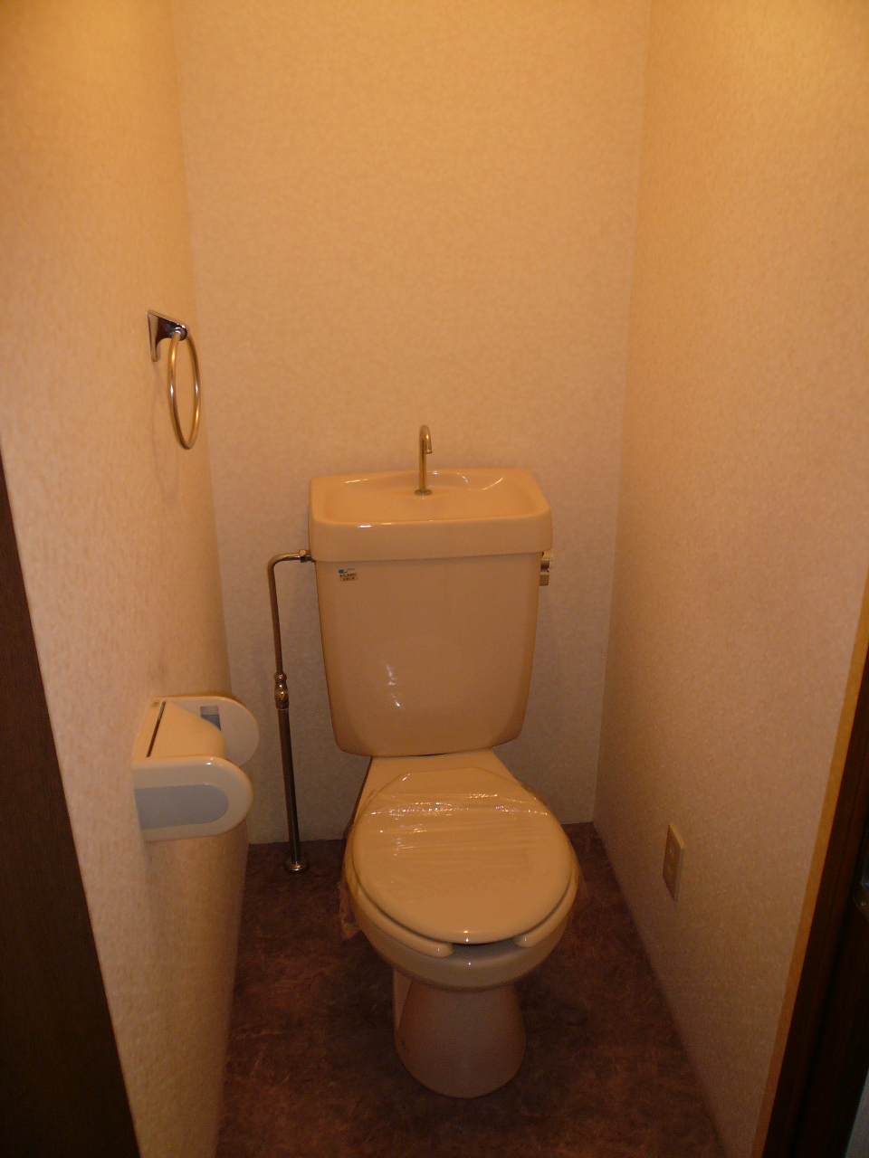 Toilet. Reference photograph