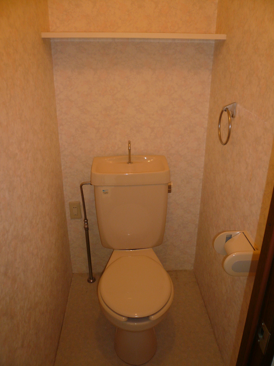 Toilet. Reference photograph