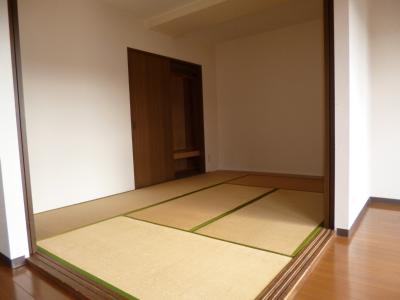 Other room space. Japanese style room