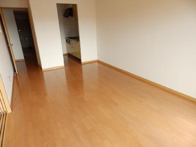 Living and room. Flooring
