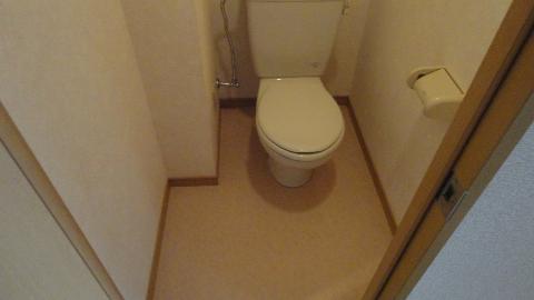 Toilet. WC