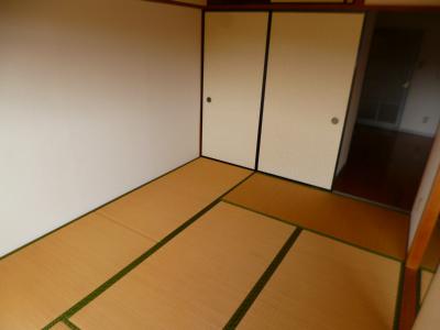 Other room space. Flooring