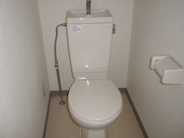 Toilet. Isomorphic type