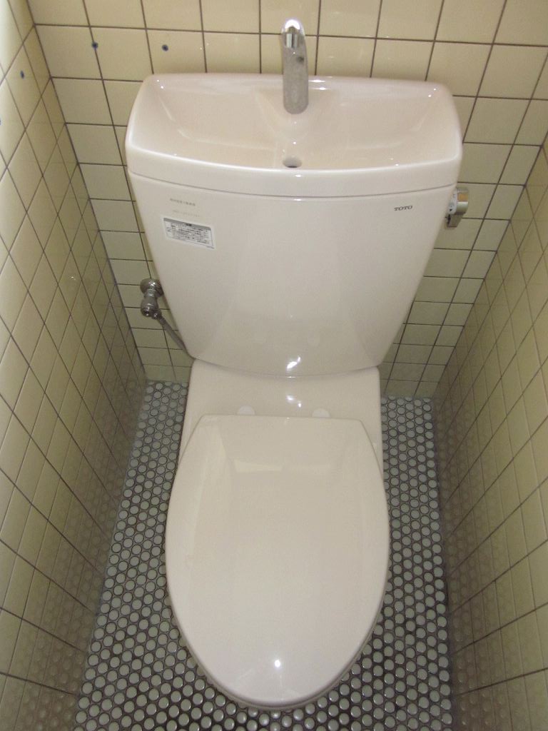 Toilet