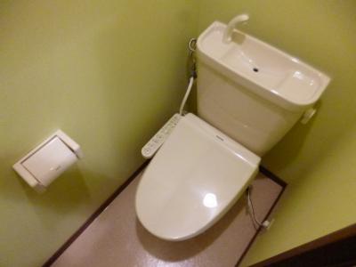 Toilet. Toilet