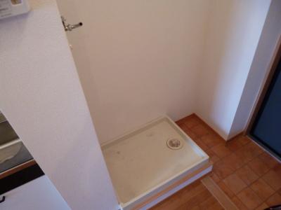 Other. Indoor Laundry Storage
