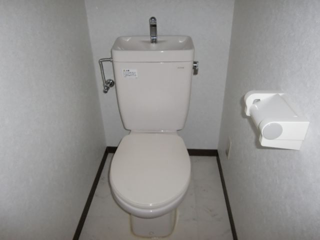 Toilet. Beautiful toilet.