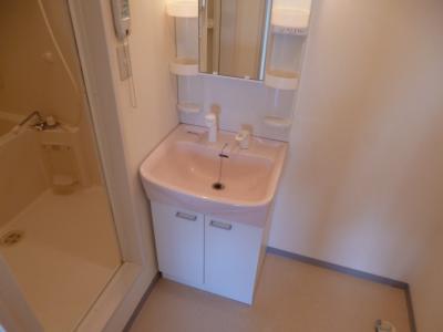 Washroom. With shampoo dresser