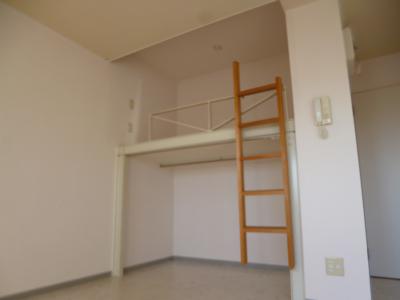 Other. loft