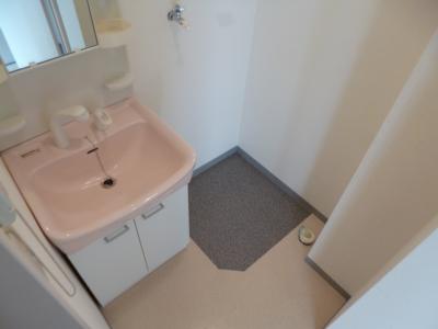 Washroom. With shampoo dresser