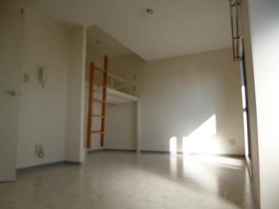 Living and room. Vinyl flooring