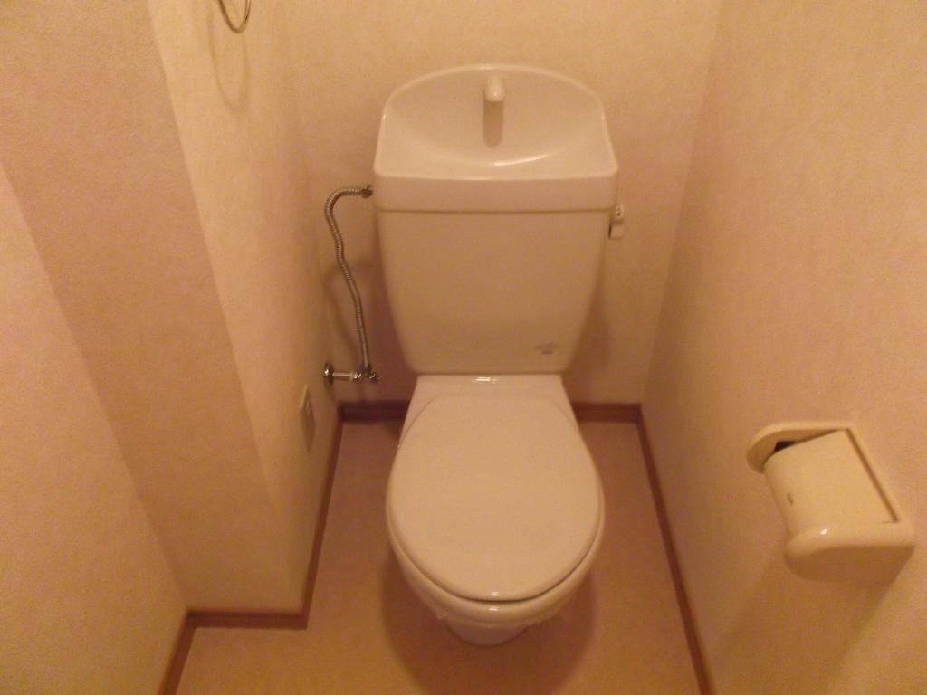 Toilet. Toilet