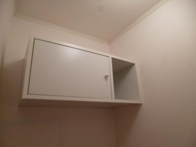 Toilet. With storage