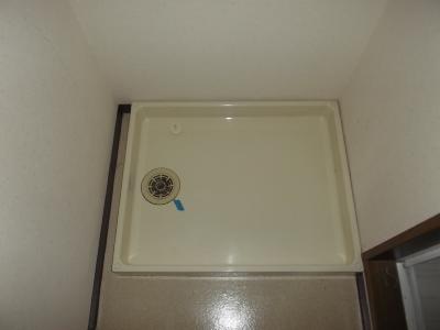 Washroom. Indoor Laundry Storage