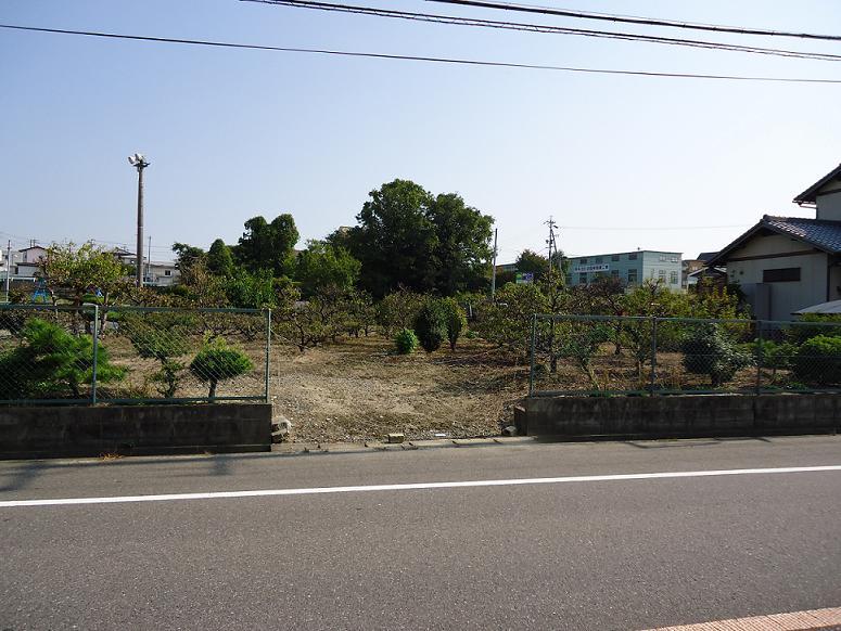 Local land photo