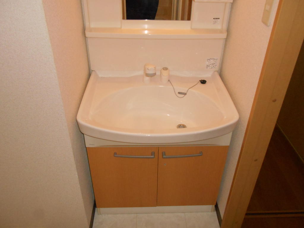 Washroom. Shampoo dresser