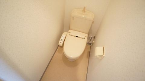 Toilet. WC
