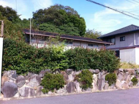 Local land photo