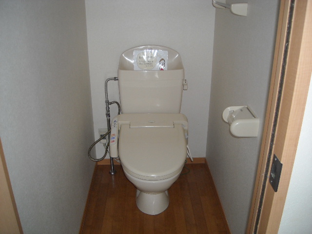 Toilet. Brightly, You calm