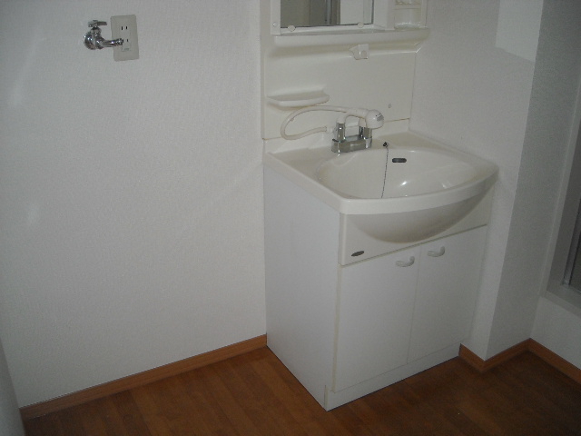 Washroom. With vanity