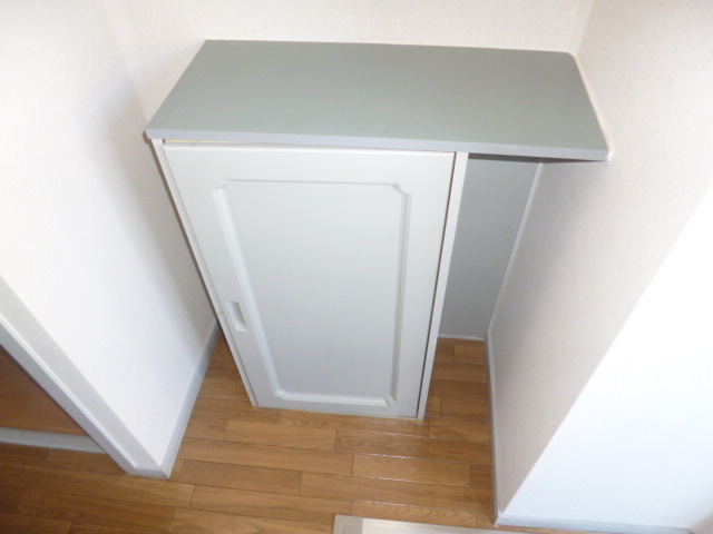 Entrance. Big success! Shoes is with BOX