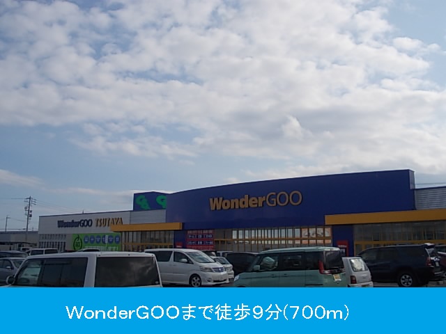 Rental video. WonderGOO 700m until the (video rental)