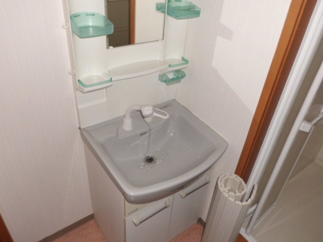 Washroom. With vanity