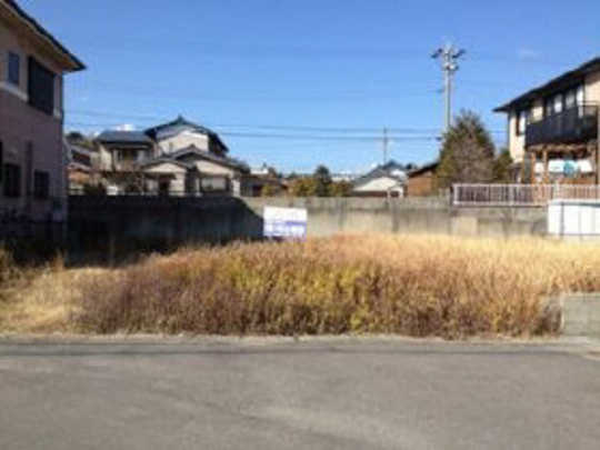 Local land photo
