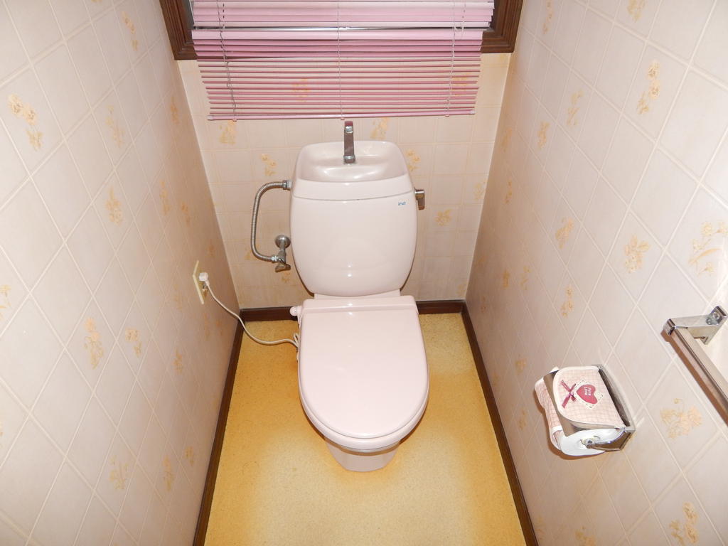 Toilet. Brightly, You calm down