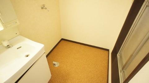 Other room space. Dressing room