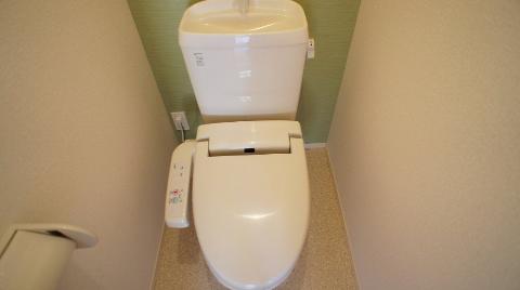 Toilet. Toilet with shower