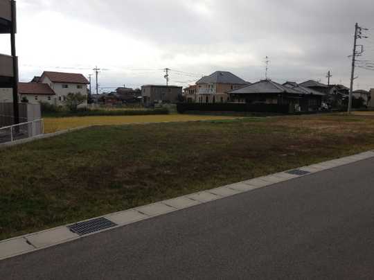Local land photo. photo1)