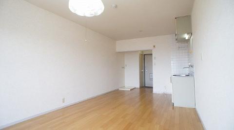 Living and room. Living