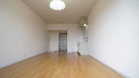 Living and room. Living