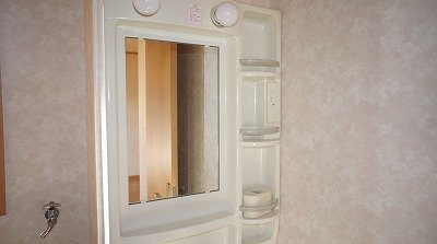 Washroom. Bathroom Vanity