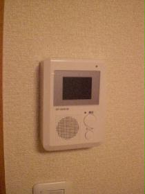 Other. Monitor with intercom