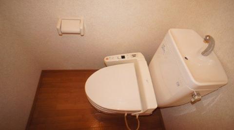 Toilet. Toilet with shower