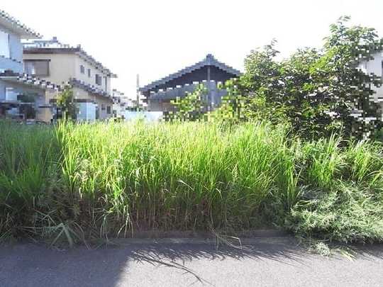 Local land photo