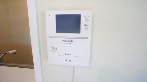 Security. Intercom with a camera