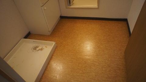 Other room space. Dressing room