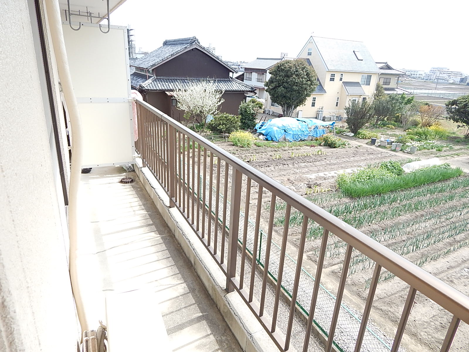 Balcony. Sunny! Laundry is Jose a lot