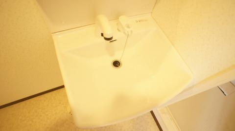 Washroom. Bathroom Vanity