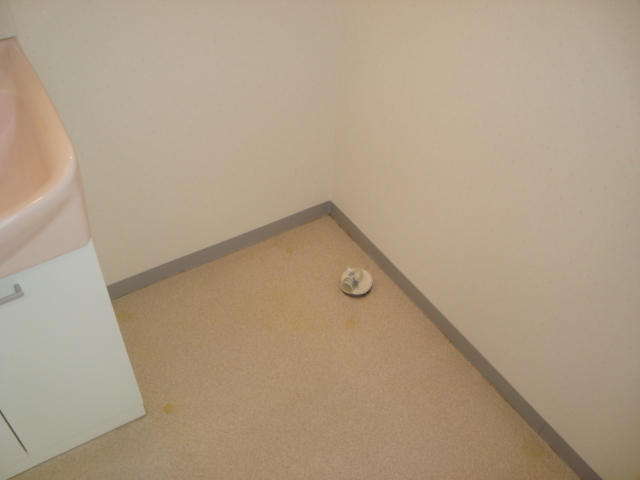 Washroom. Laundry Area