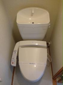 Toilet. Warm water washing toilet seat