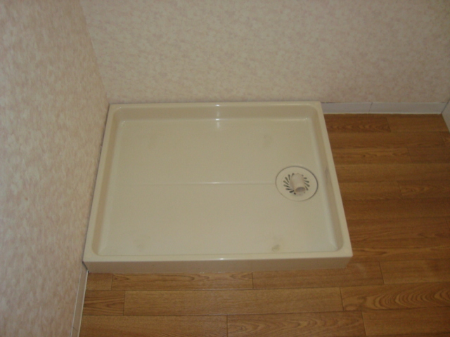 Washroom. Laundry Area